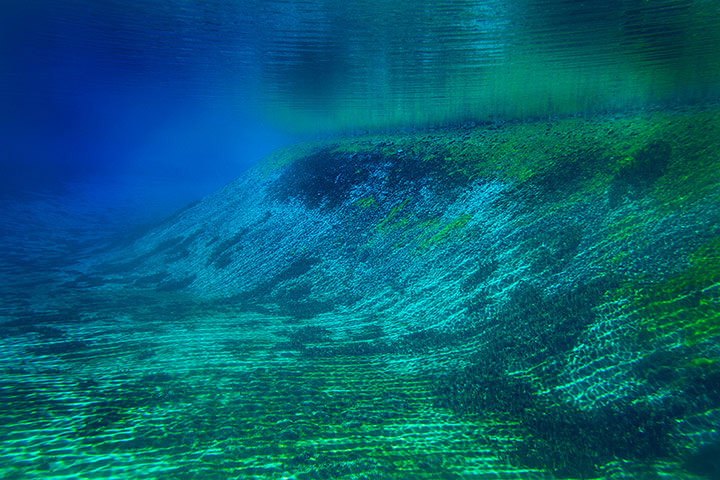 Underwater in New Zealand's Blue Lake.