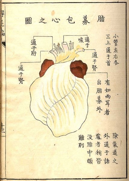 Illustration of human heart surrounded by Japanese writing.
