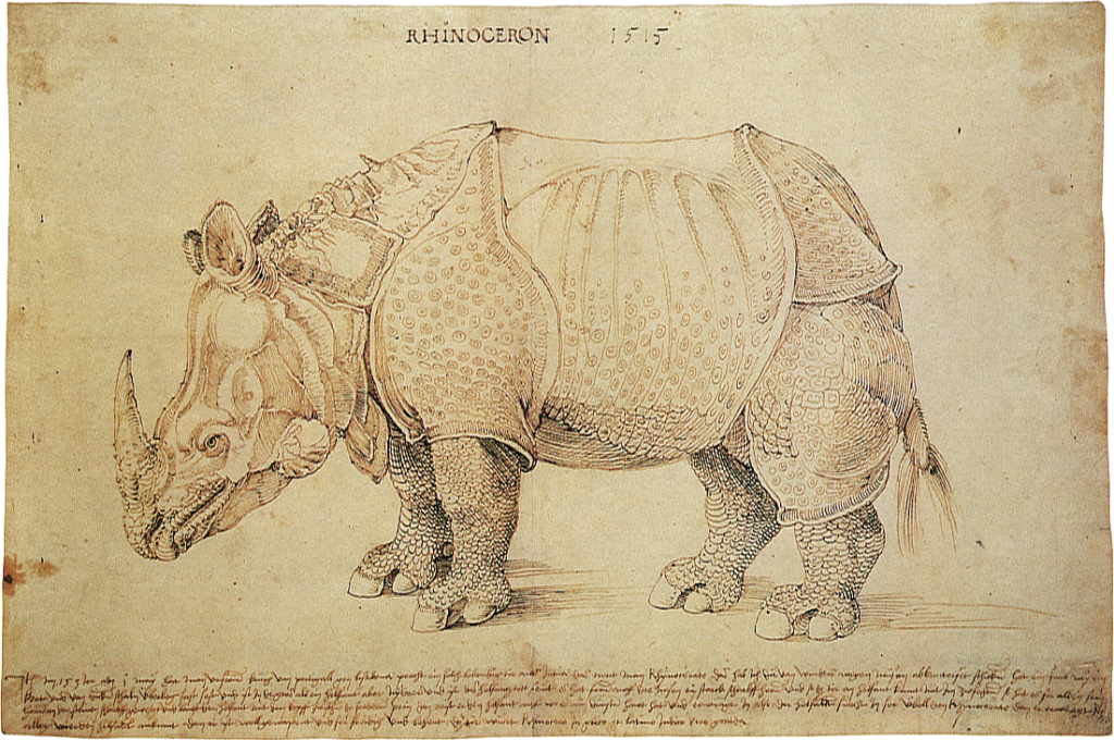 Alberto Durero drawing of a rhinoceros 