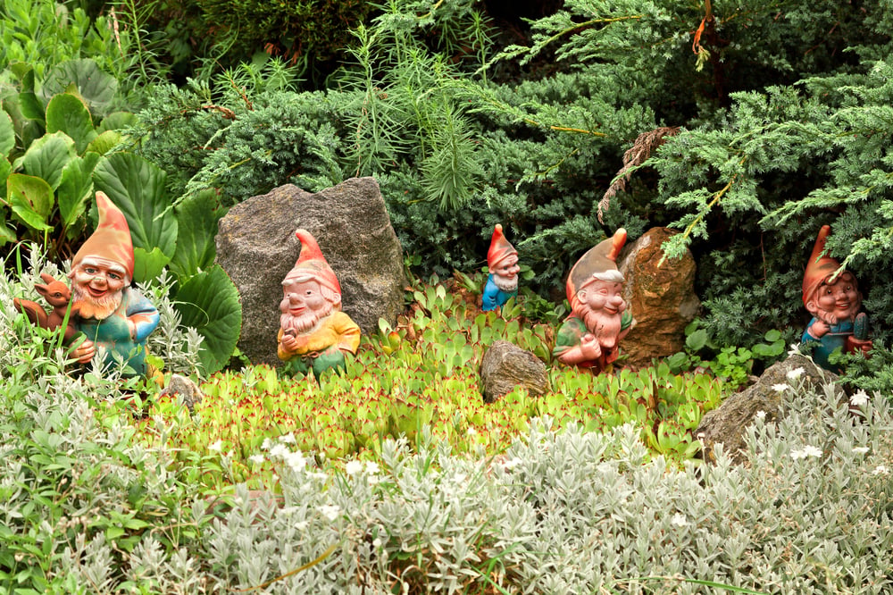 Plaster gnomes in garden.