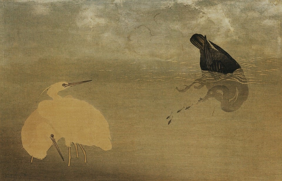 A painting of a white and black crane, with the black crain diving underwater.