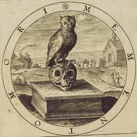 Drawing of an owl perched on a skull