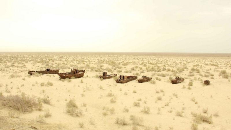 Rusted boats in desert.