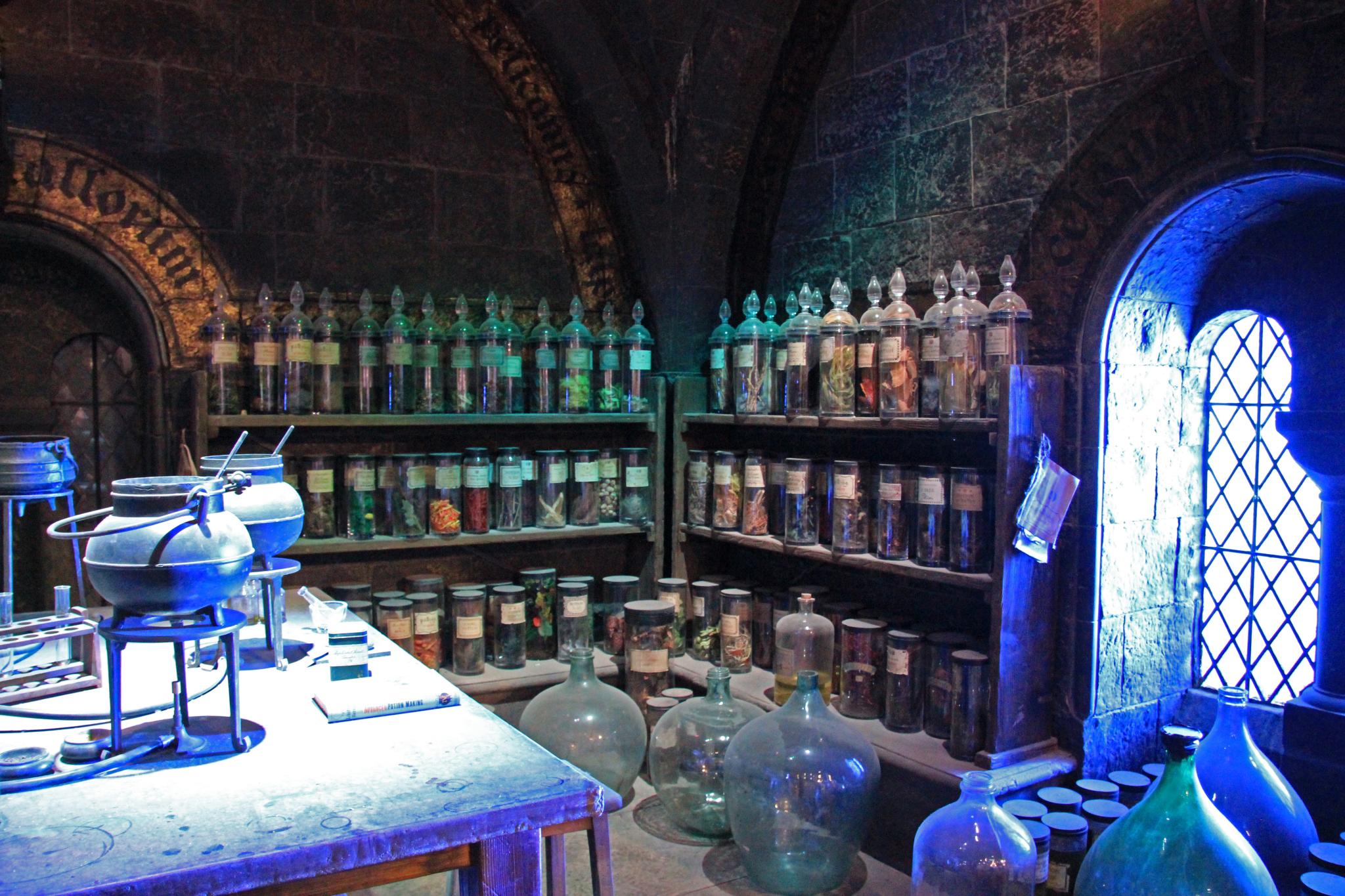 potions on shelves in harry potter exhibit