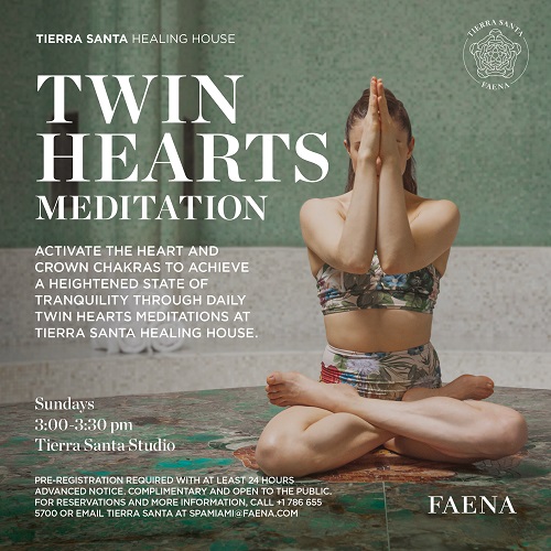 Twin Hearts flyer 