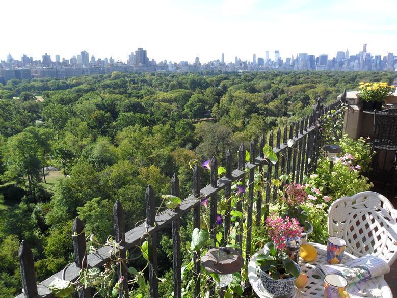 Penthouse balcony overlooking Central Park. 