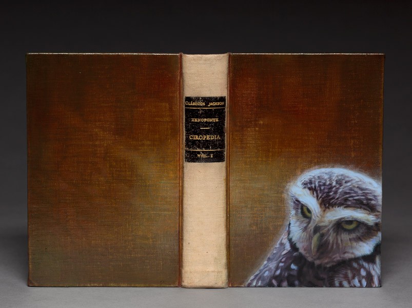 Owl book