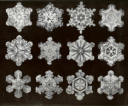 Snowflakes2