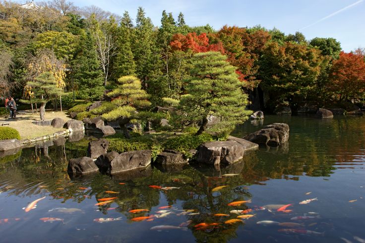 Edo-style garden