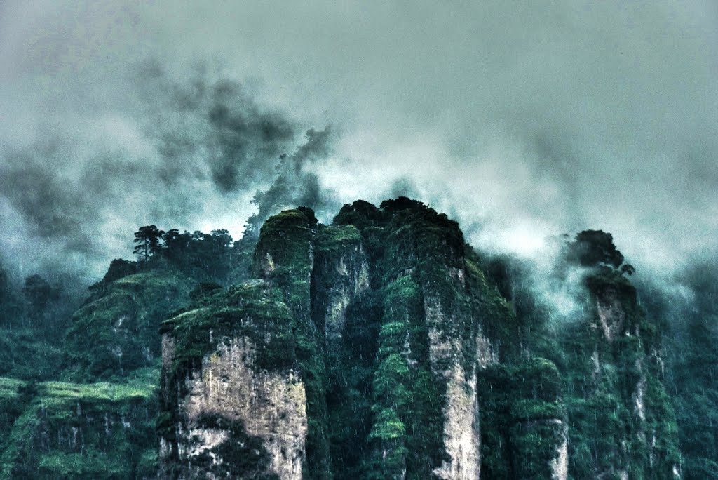 Tall cliffs with lot of trees