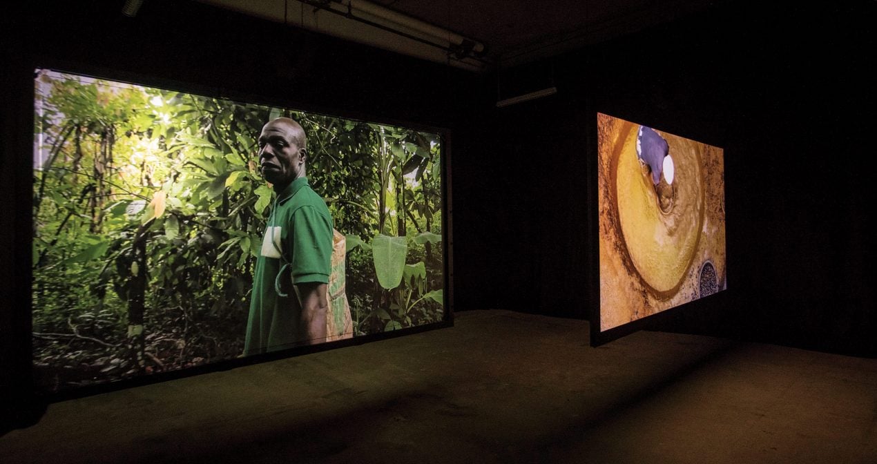 video screen of a man in the jungle