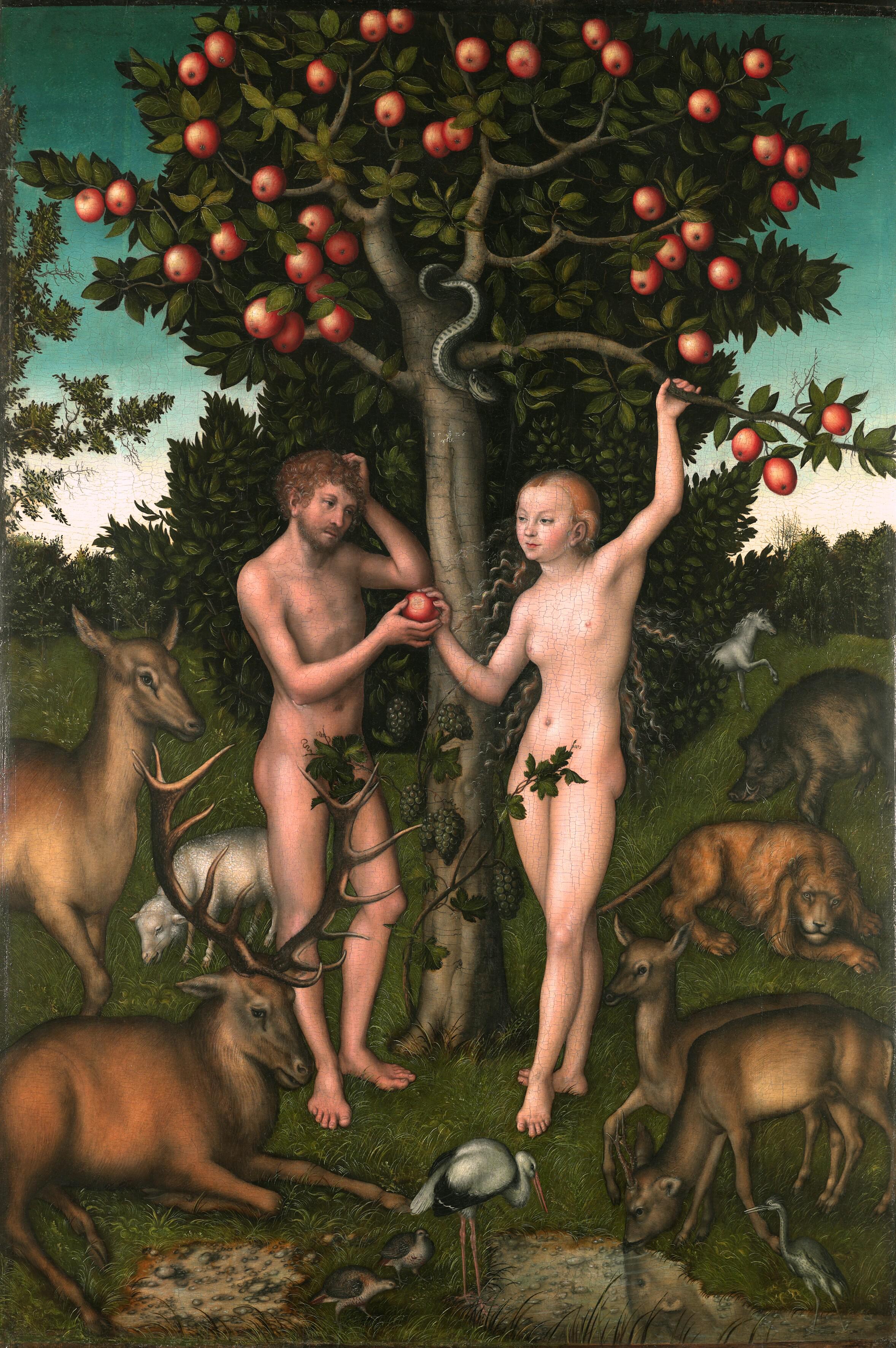 Painting of adam and eve by luchas cranach