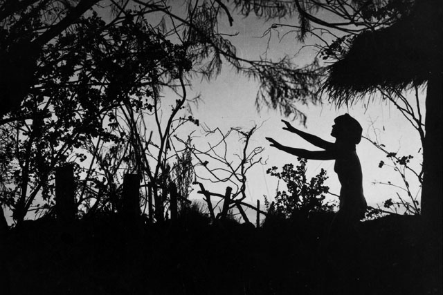 Woman in woods walking with arms outstretched.
