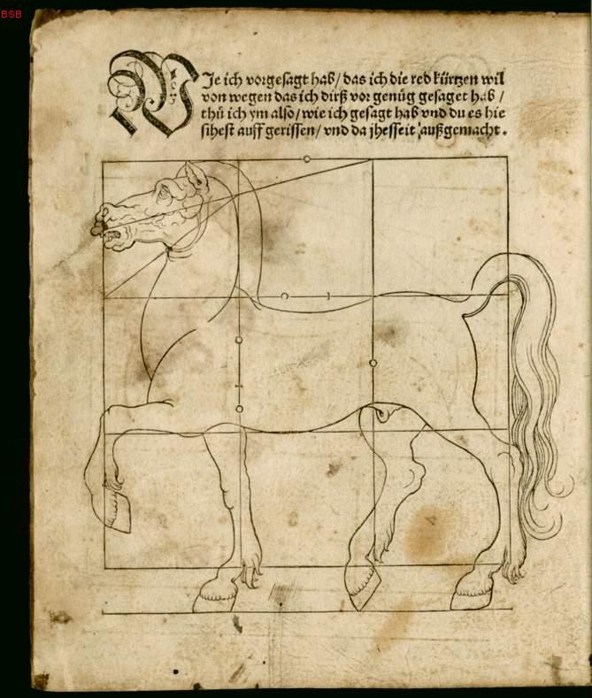 Drawing of a horse with gridlines to help with proportion 