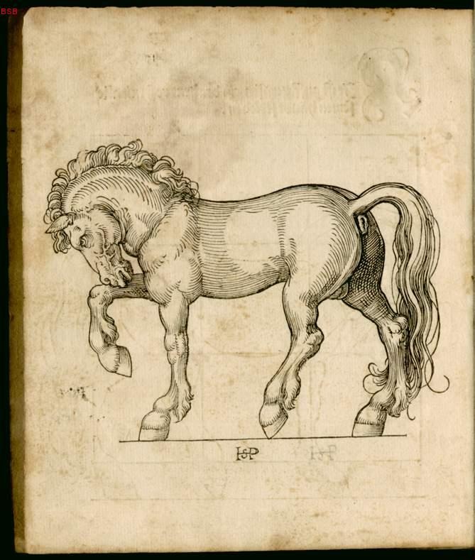 Detailed drawing of a horse