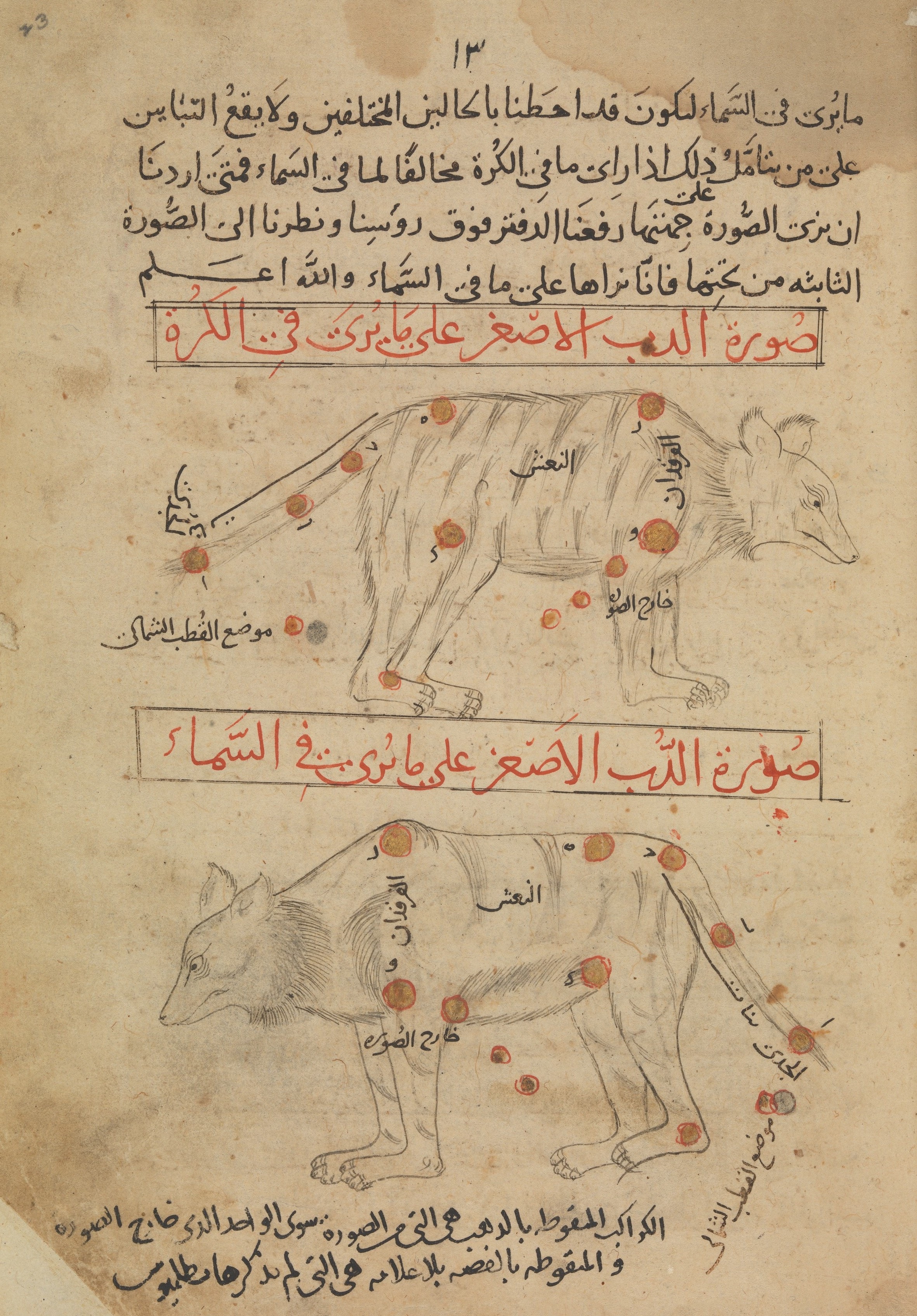 Illustrations of animals with Arabic writing