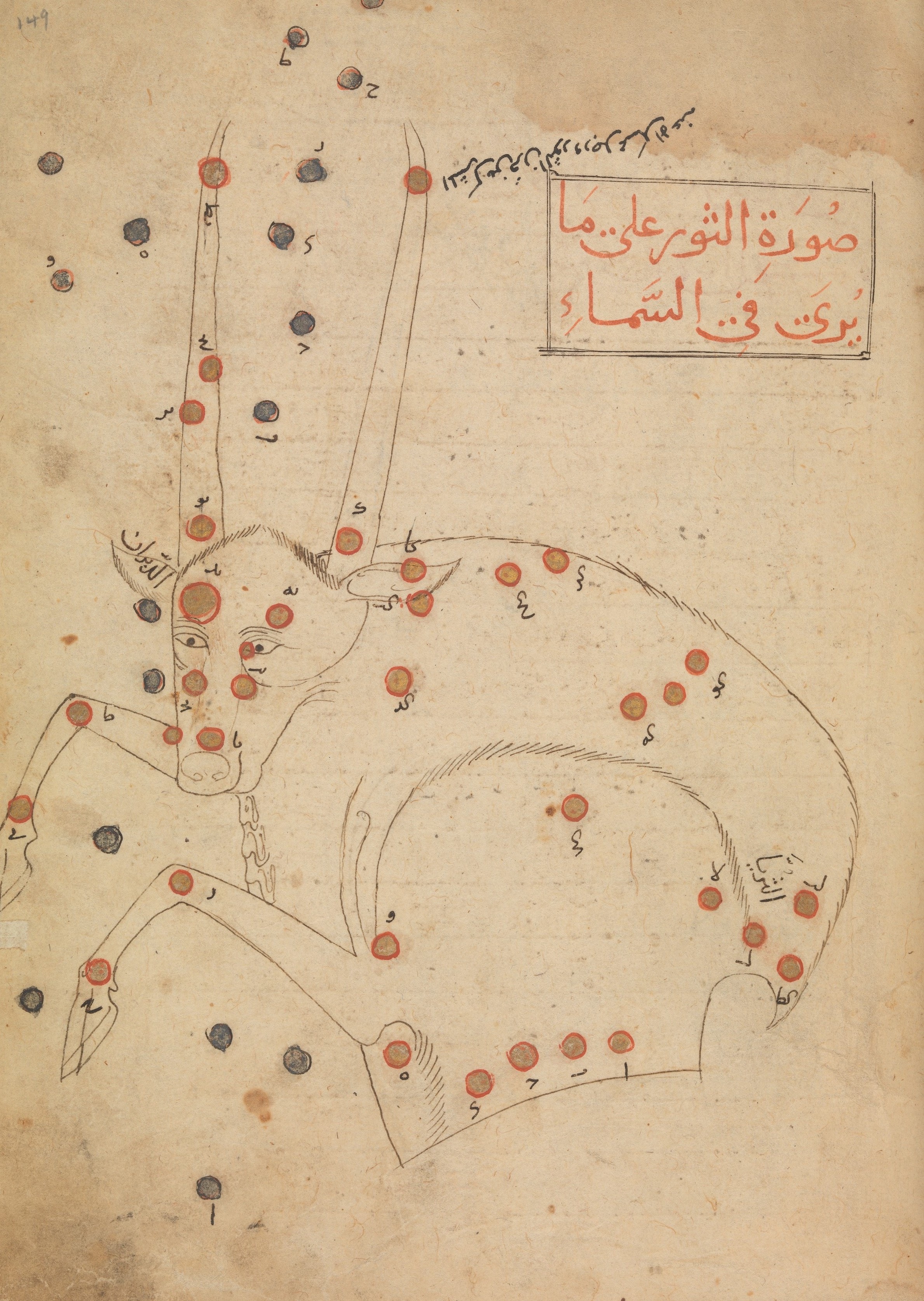 Constellation Illustration of an ox with Arabic writing