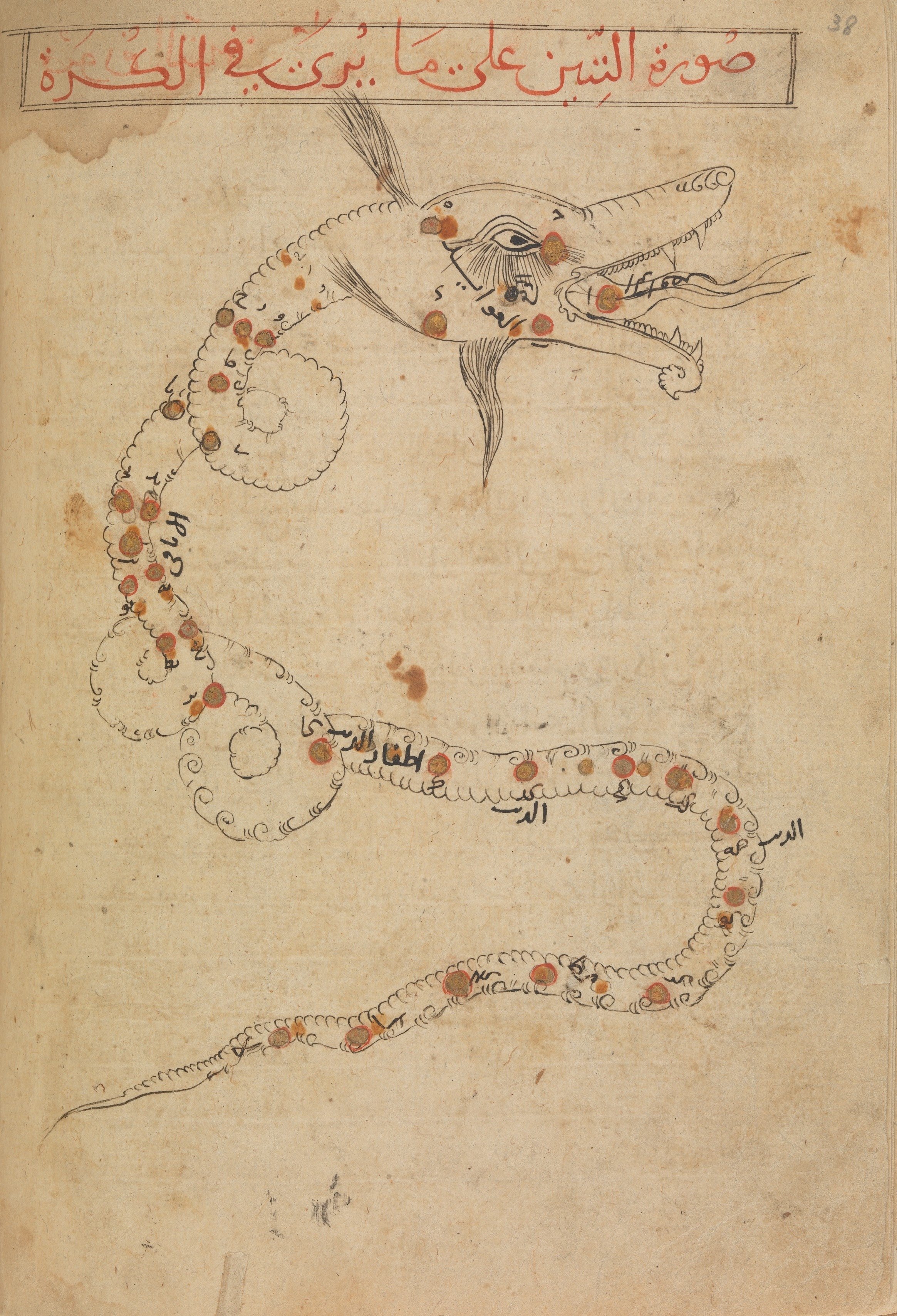 Constellation illustration of a dragon with Arabic writing