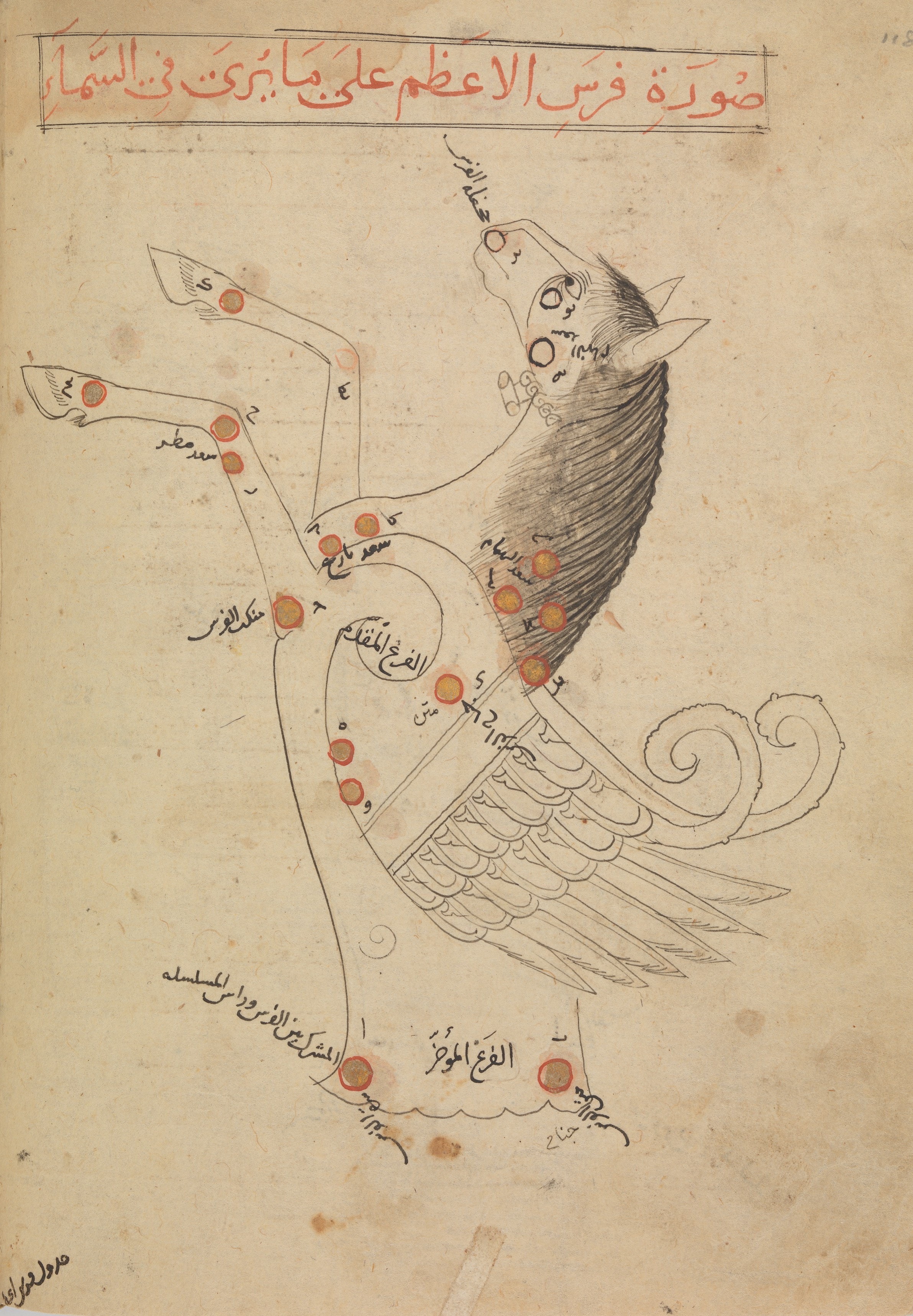 Constellation illustration of a winged horse with Arabic writing