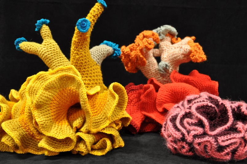 colorful pieces of coral reef made by crochet
