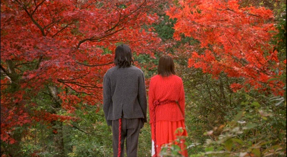 A man and woman stand in forest of trees with red leaves.