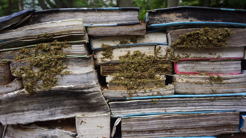 Quebec Book Garden