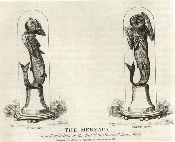 Fiji Mermaid