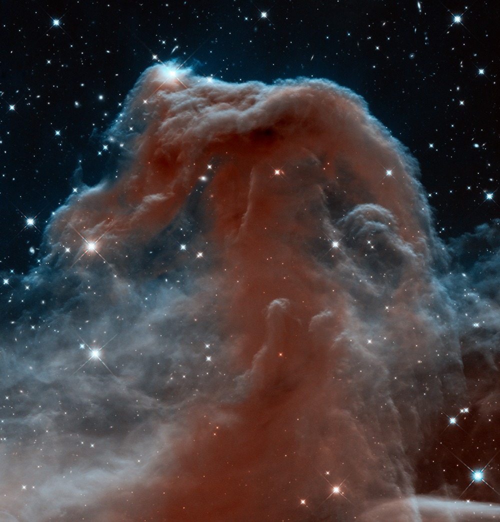 horsehead nebula photographed by the Hubble telescope.