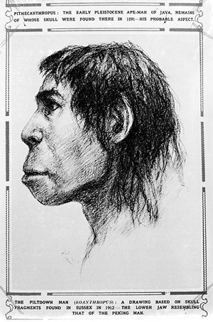 Eoanthropus