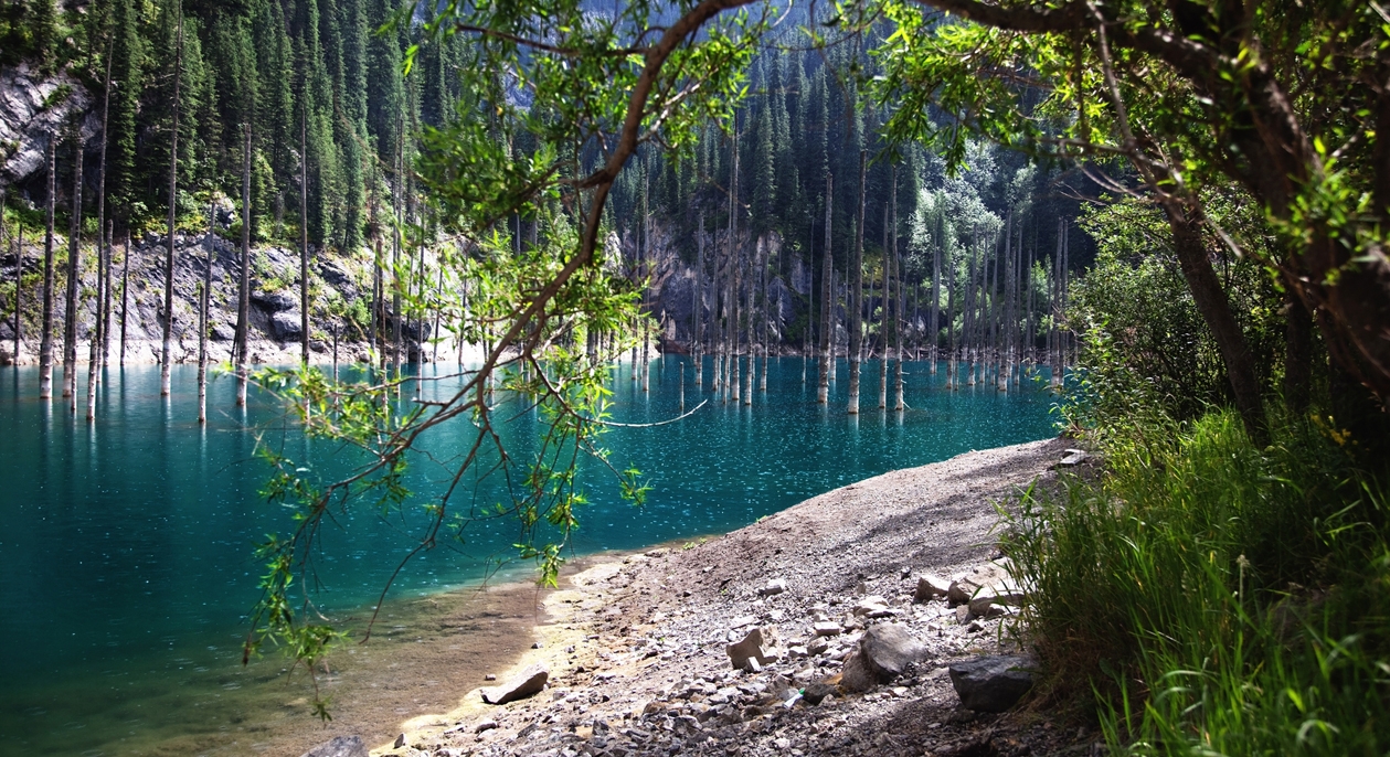 Kaindy lake surrounded by trees