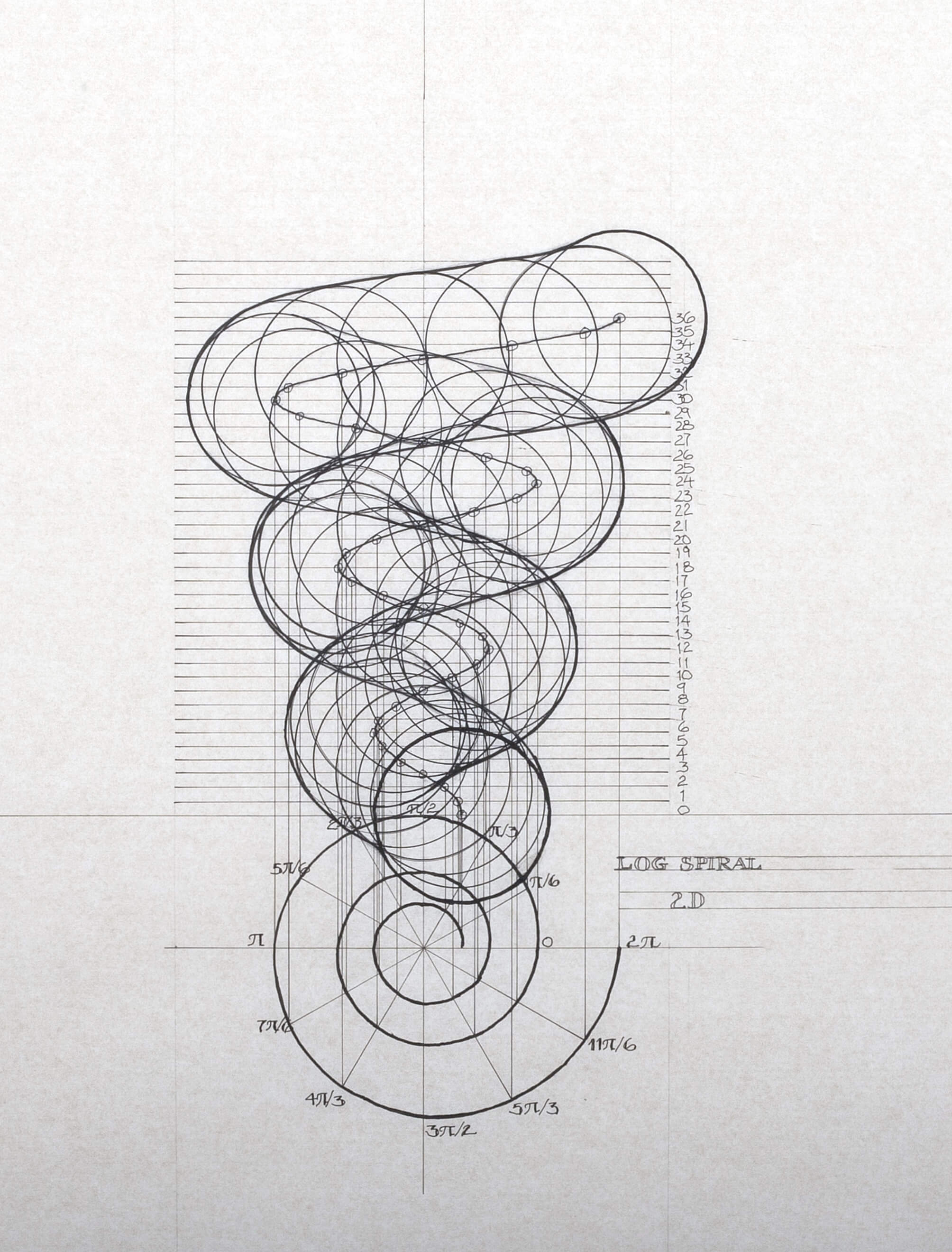log spiral