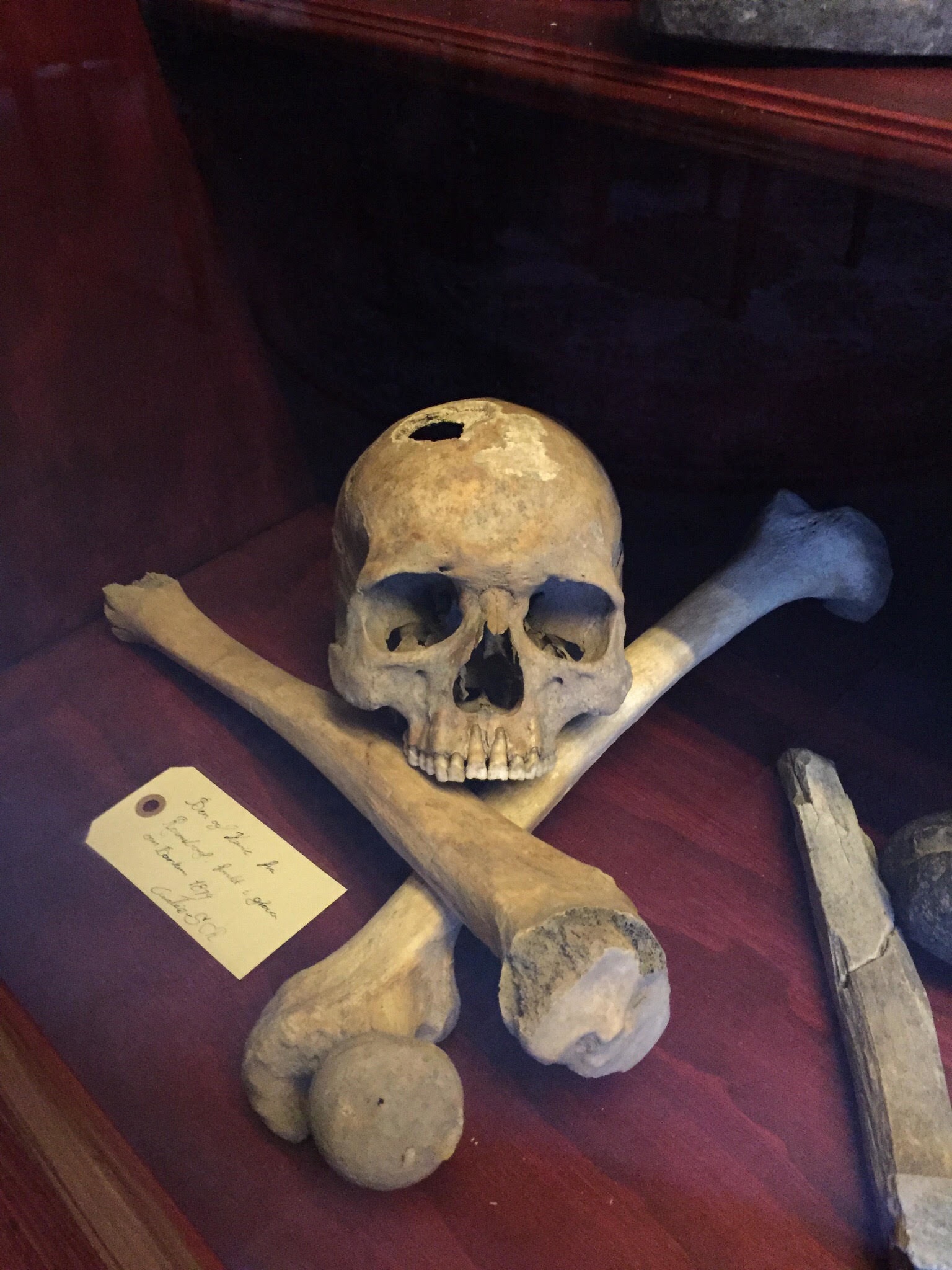 A skull and two crossed leg bones on a purple velvet cushion.