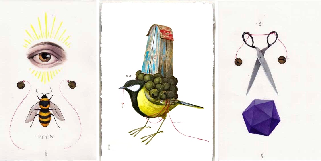 Illustrations of an eye, bee, bird, and scissors 