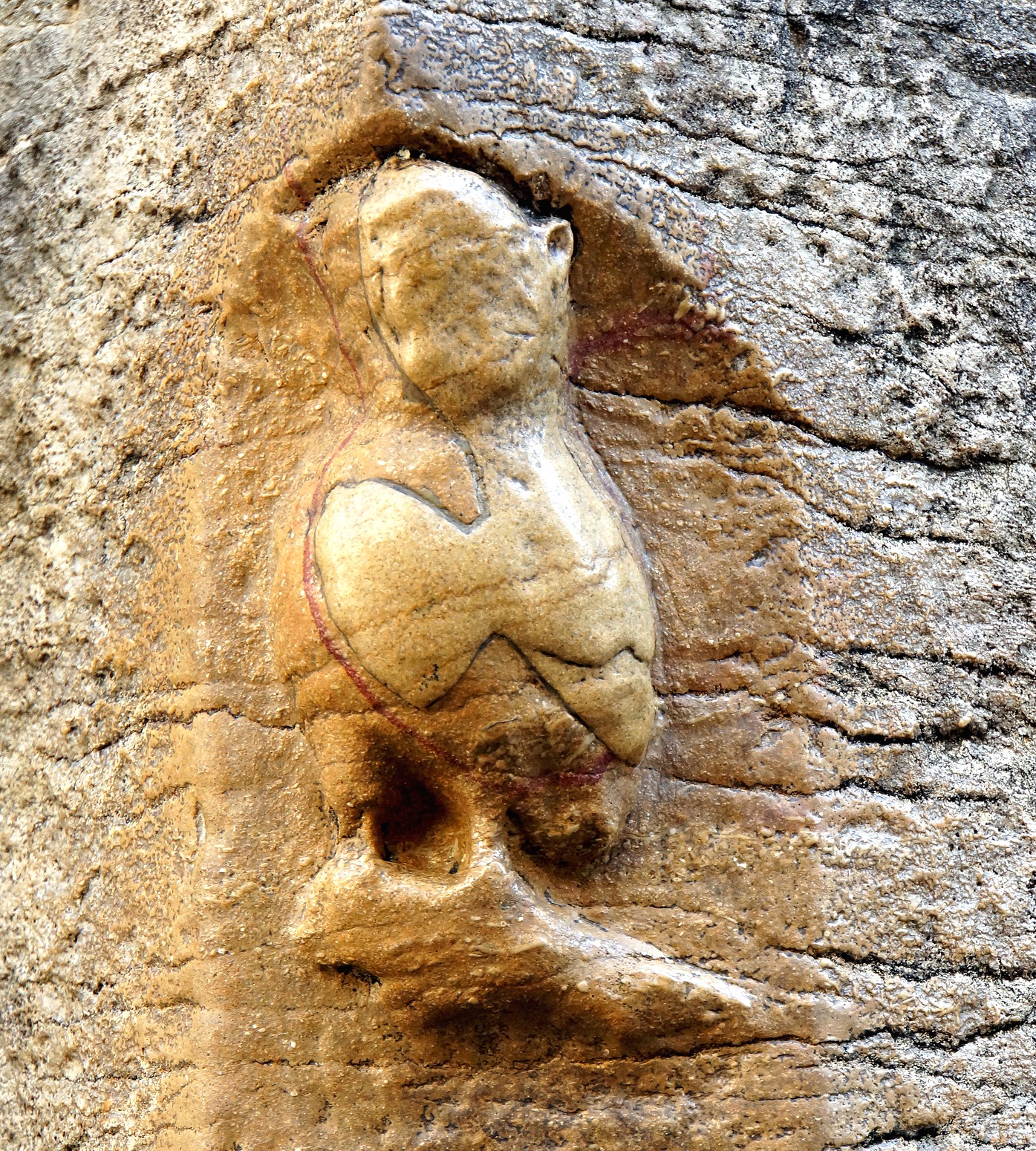 Stone owl carved into Dijon church