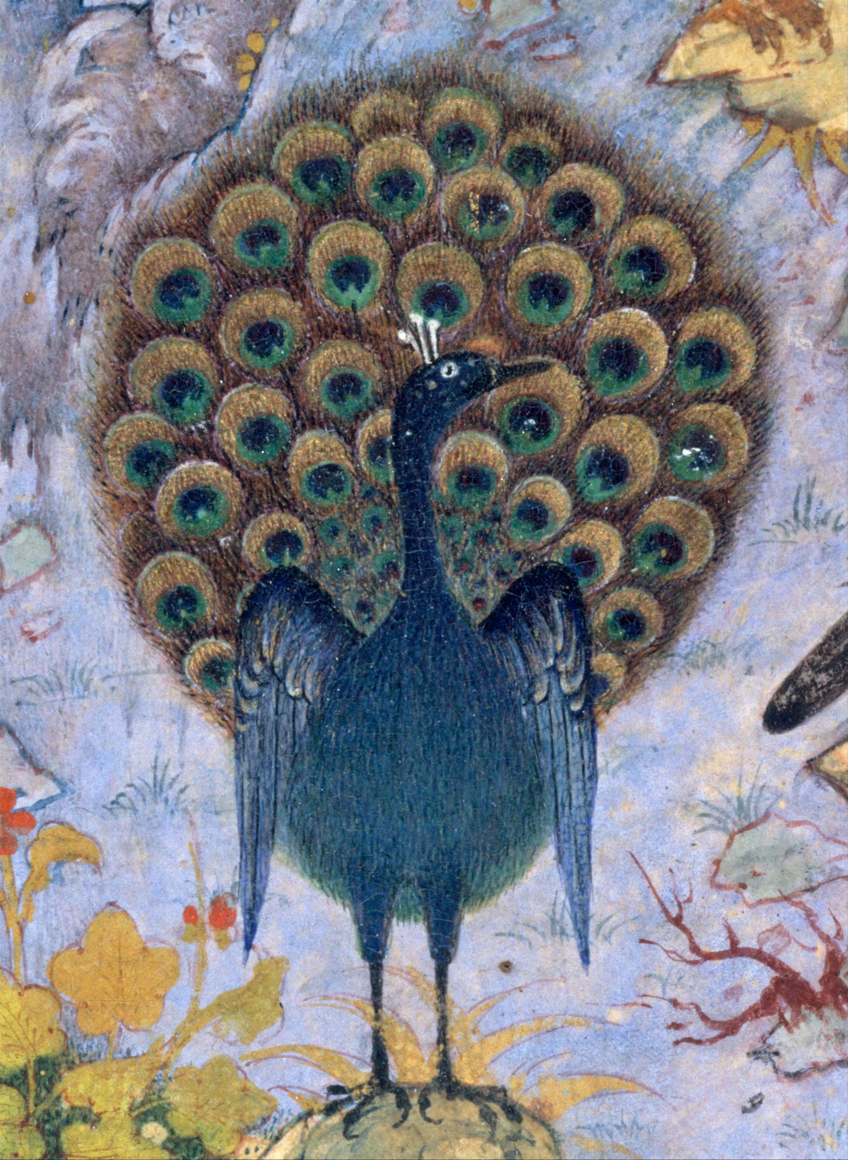 Painting of a peacock