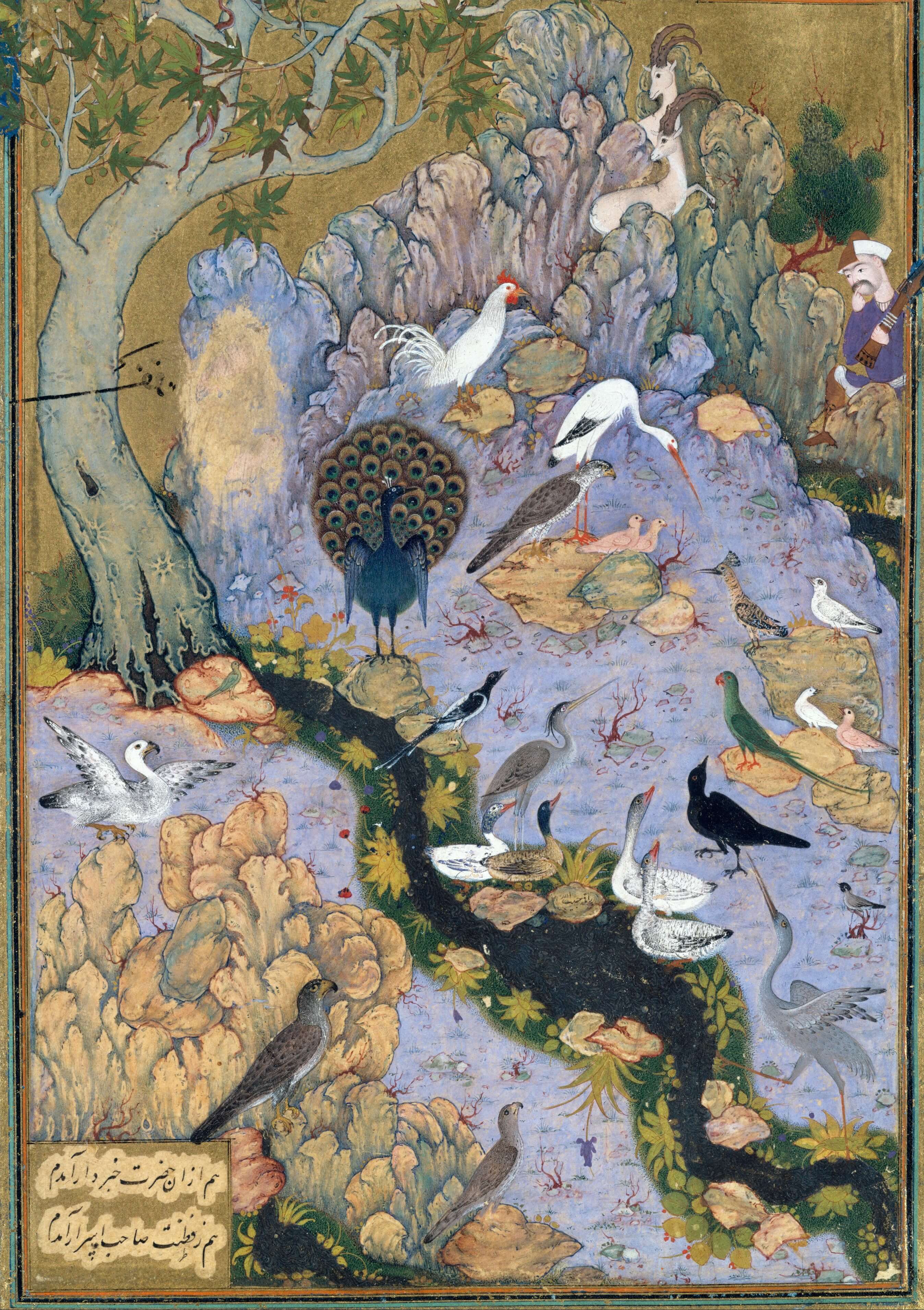 painting of birds and water