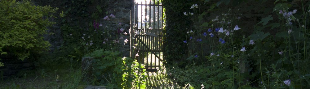 Gate to a secret garden 