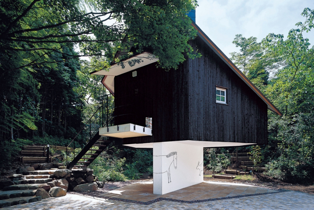 Elevated home in woods 