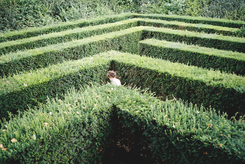 Person walking through hedge maze 
