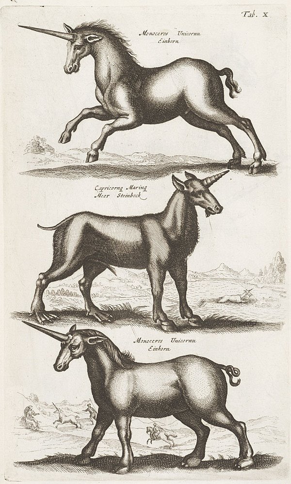 Medieval drawings of unicorns.