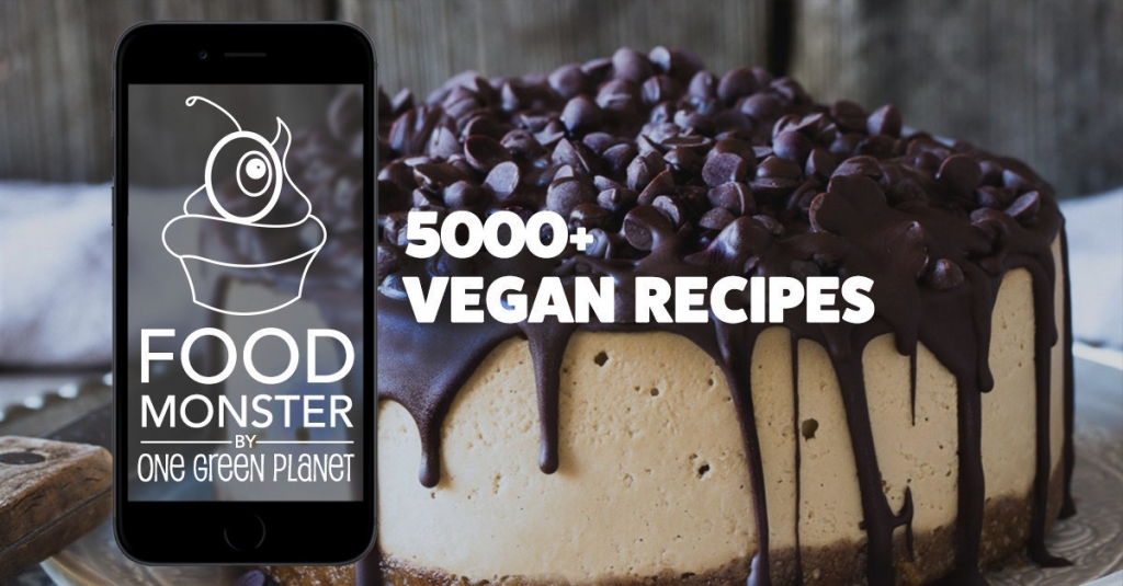 Vegan Recipe App