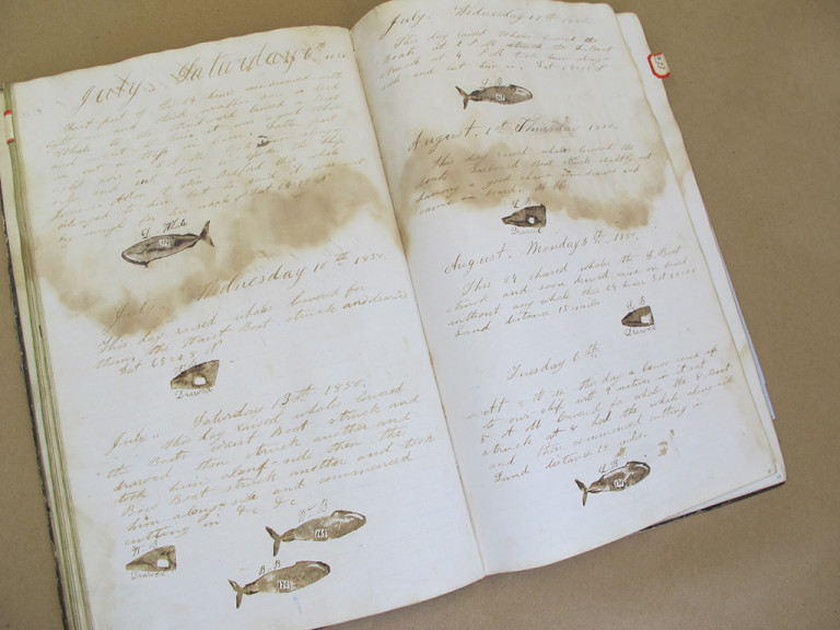 Whaling ship log book with sketches of whales.