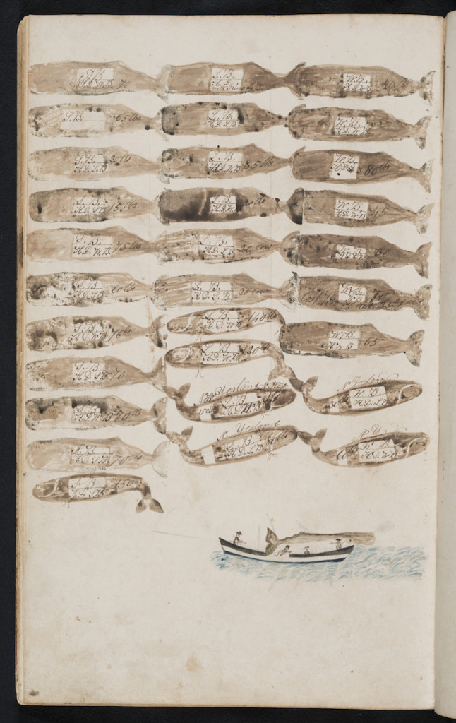 Sketches of whales in whaling ship log book