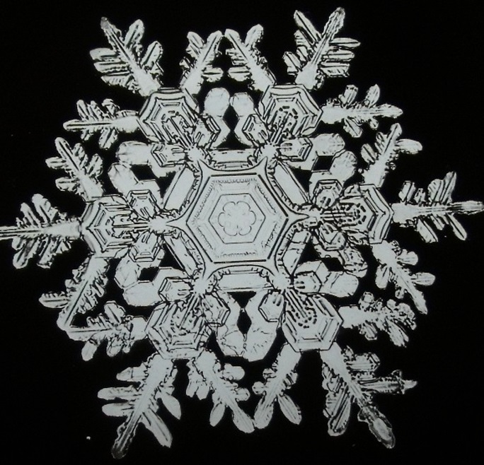 Snowflake