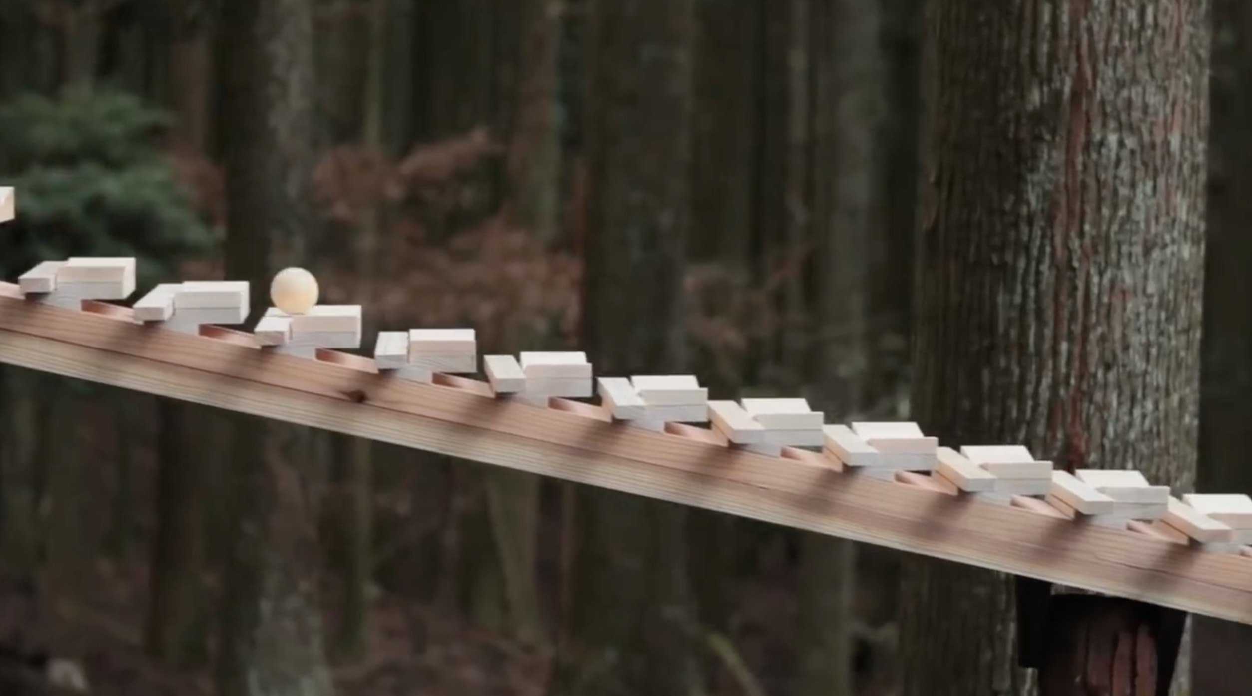Wooden blocks set up in a forest to create a massive xylophone 