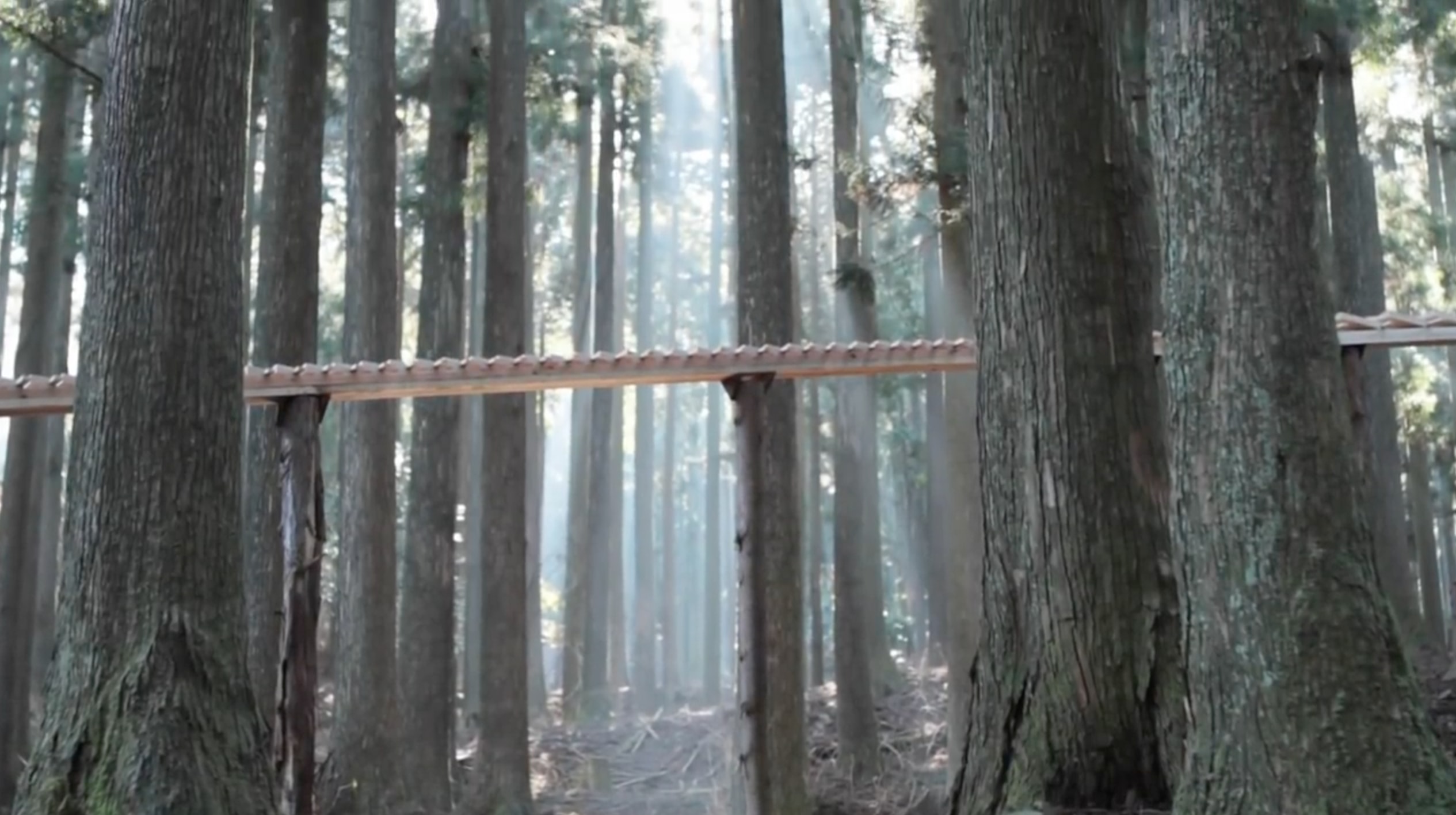 Wooden blocks set up in a forest to create a massive xylophone 