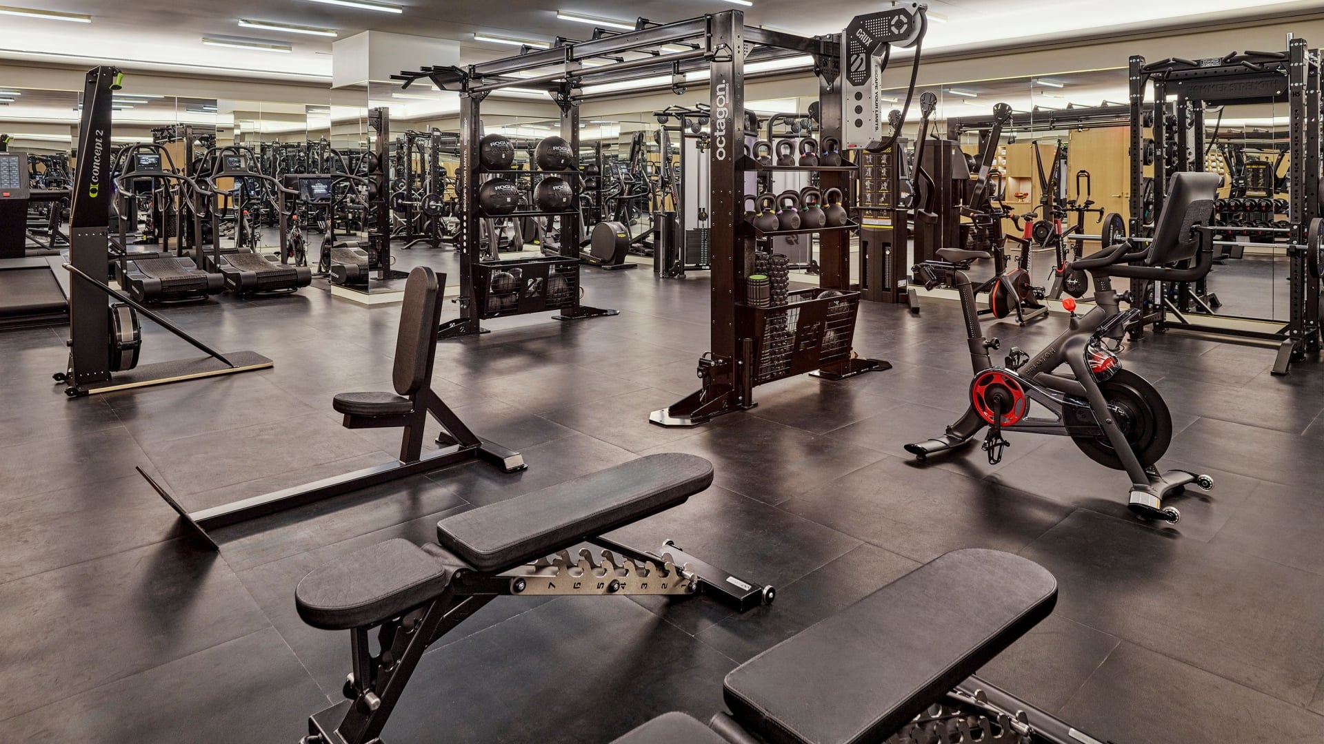 Faena Guest Gym Space