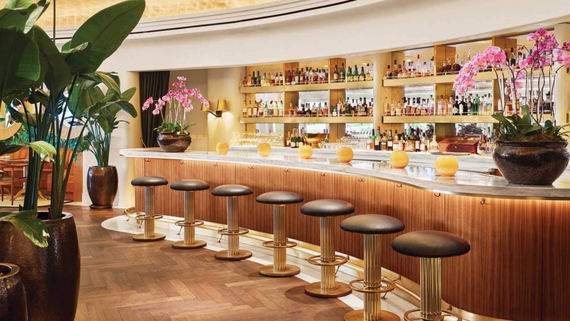 Fancy bar lined with stools