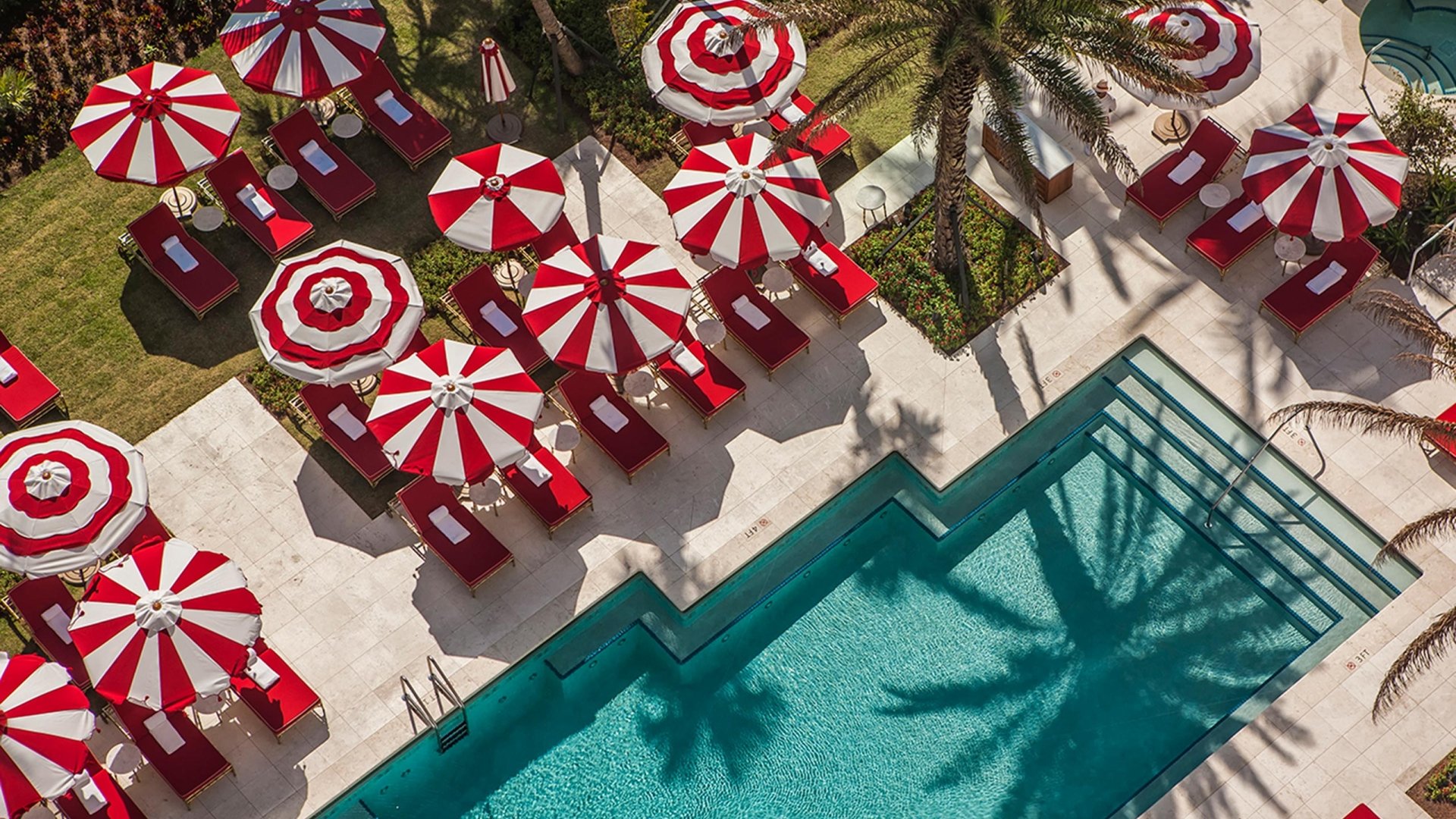 hotel pool surrounded by palm trees and striped umbrellas