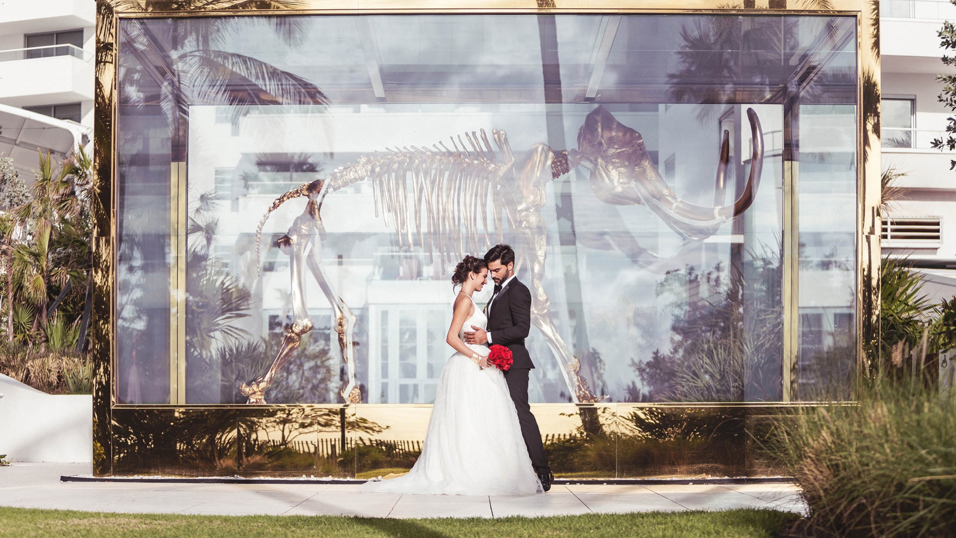 A couple in wedding attire stands in front of a large glass enclosure containing a dinosaur skeleton.